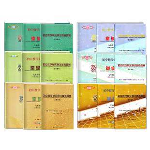 2025 初中数学单元测试堂堂练六七八九年级上下册6789第一二学期 上海初中数学单元测试+双基过关堂堂练数学六七八九年级任选