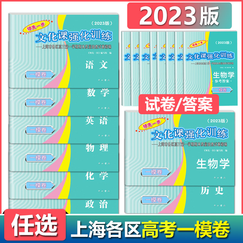 2023年版上海高考一模卷