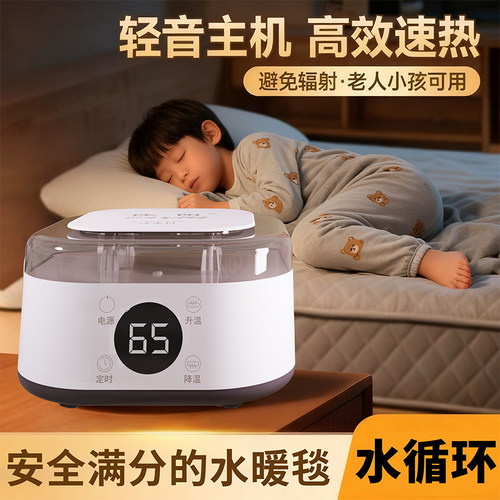 水暖毯2025新款电热水暖毯子智能控温家用水循环冬季恒温电褥子