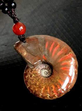 天然斑彩螺吊坠菊石化石项链实物