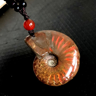 水玉冰魄天然斑彩螺吊坠菊石化石项链原石化石中小号红光绿光实物