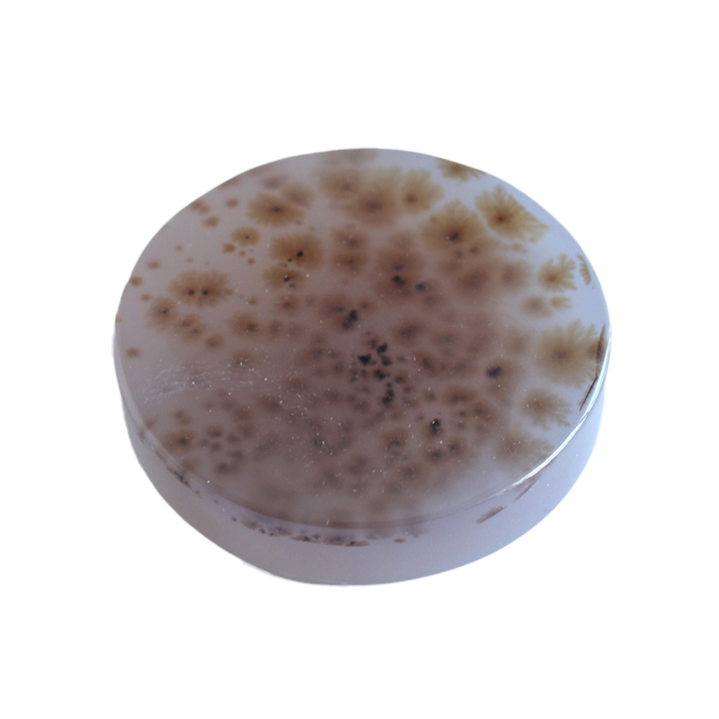 水玉冰魄天然水草玛瑙把玩 花草玛瑙手镯芯手把件 圆牌原石实物