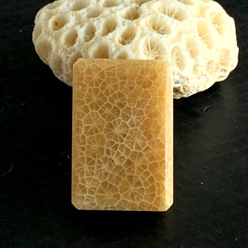 水玉冰魄天然珊瑚玉方牌吊坠  菊花化石毛衣链  项坠 挂件