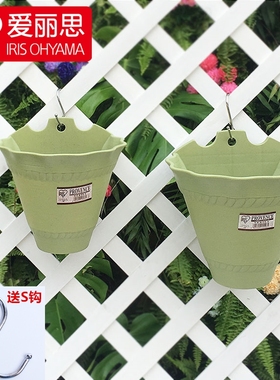 爱丽思壁挂花盆挂墙悬挂式垂吊篮绿萝盆加厚环保树脂塑料爱丽丝盆