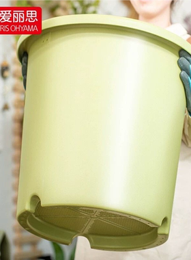 爱丽思Deepot月季绣球专用盆加厚耐晒家用树脂塑料透气爱丽丝花盆