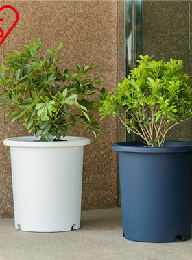 爱丽思Deepot深型大号爱丽丝花盆加厚家用树脂塑料锈球月季专用盆