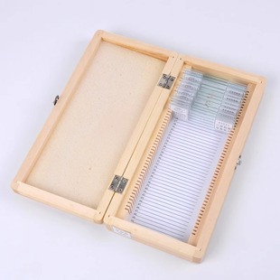 上字装片切片生物实验室永久切片装片人体四大组织神经 上皮 结缔 肌肉字母e中小学教学生物玻片口腔上皮