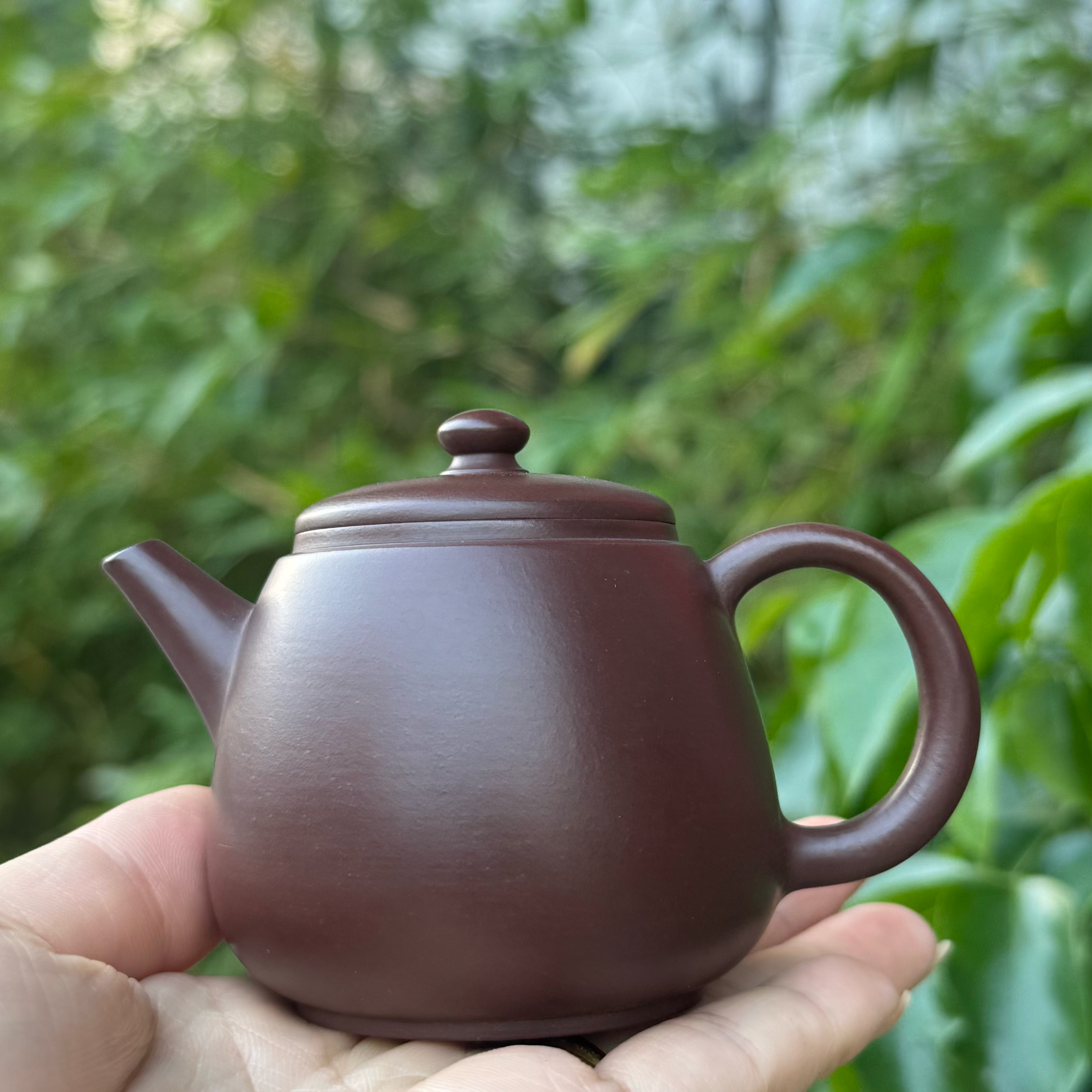 曾楚亮文旦壶潮州手拉壶全手工紫泥茶壶工夫茶器100cc单壶小容量