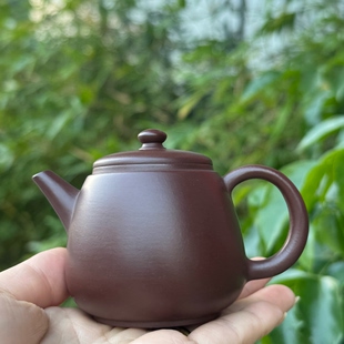 曾楚亮文旦壶潮州手拉壶全手工紫泥茶壶工夫茶器100cc单壶小容量