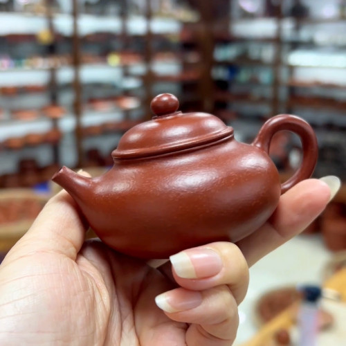 黄洽腾潮州手拉壶原矿鱼籽朱泥全手工小品工夫茶壶容天壶