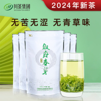 叙府春芽春茶茶叶绿茶2024新茶四川高山云雾有机茶园明前特级250g