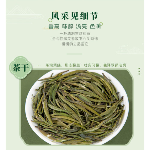 宜宾早茶头采雀舌高山绿茶品鉴