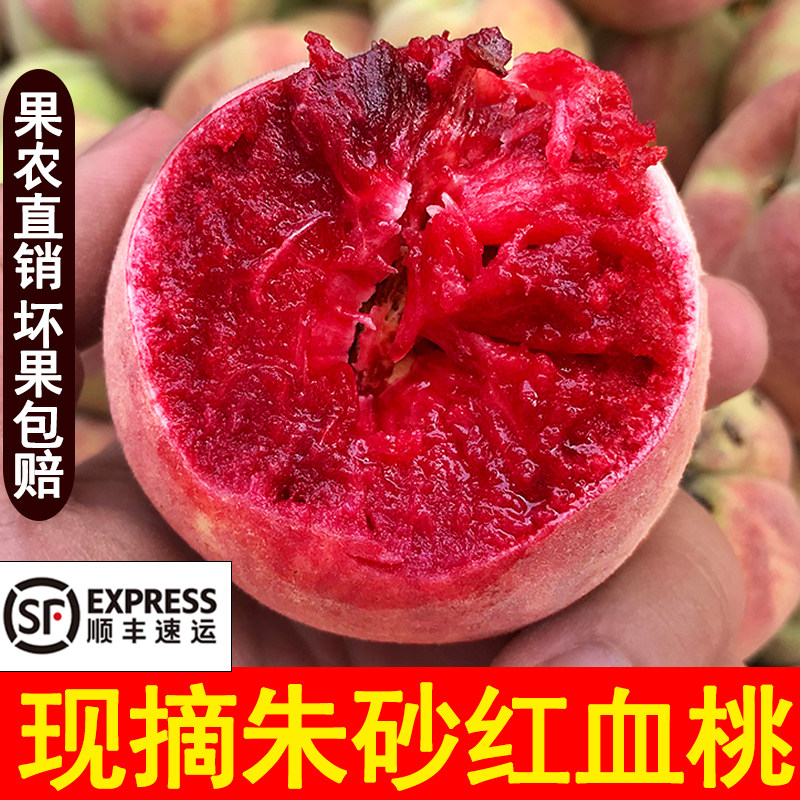 应季现摘红心紫肉朱砂红血桃新鲜水果老树胭脂红血桃水蜜桃子5斤