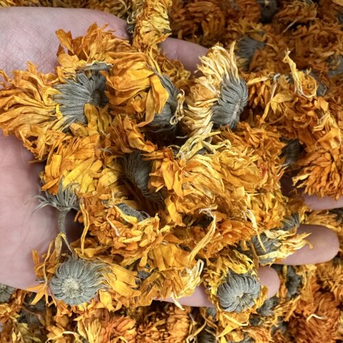 云南野生金盏菊 金盏花 盏盏菊 黄金盏 长生菊泡水喝包邮