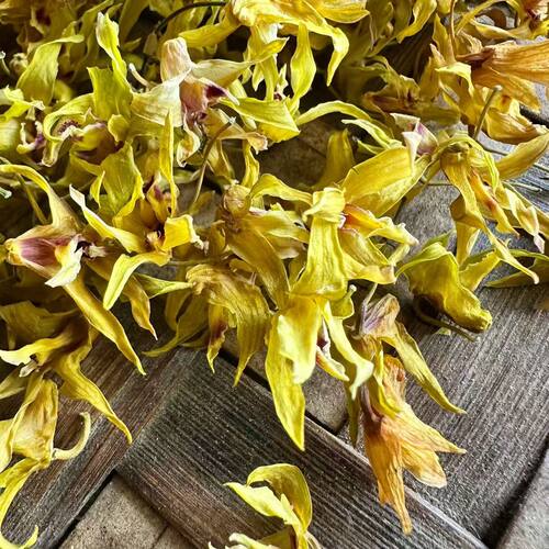 云南铁皮石斛花正品 无硫中药材石斛花茶石斛鲜条干花纯花