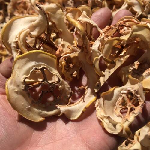 新货云南腾冲特产野生酸木瓜干酸青木瓜片做菜泡酒泡茶一斤包邮