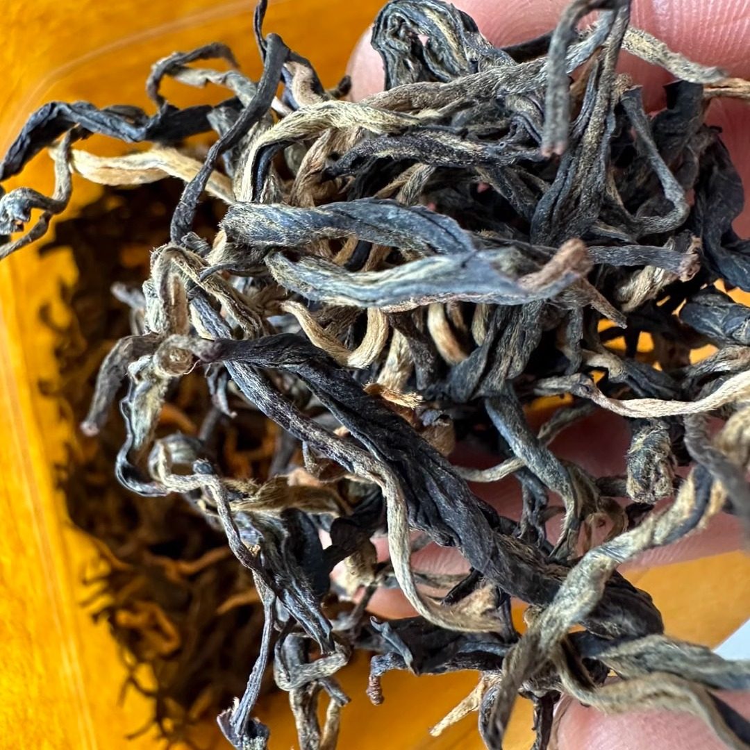 云南腾冲高黎贡山大树红茶 原生态茶叶