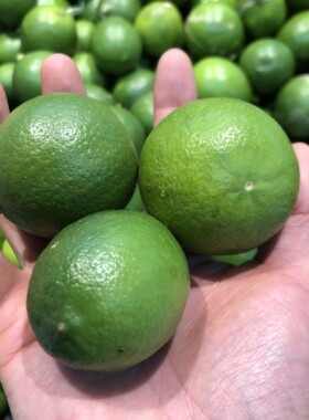 新鲜新款青皮薄汁多清香天然绿色水果缅甸品种小柠檬500克1斤