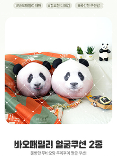 现货包邮睿辉双面抱枕爱宝乐园睿辉大头沙包睿辉抱枕睿宝辉宝周边