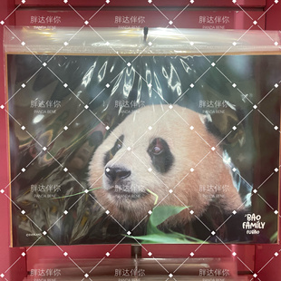 现货包邮福宝A3挂画福宝A3海报爱宝乐园福宝周边福宝和妈妈海报