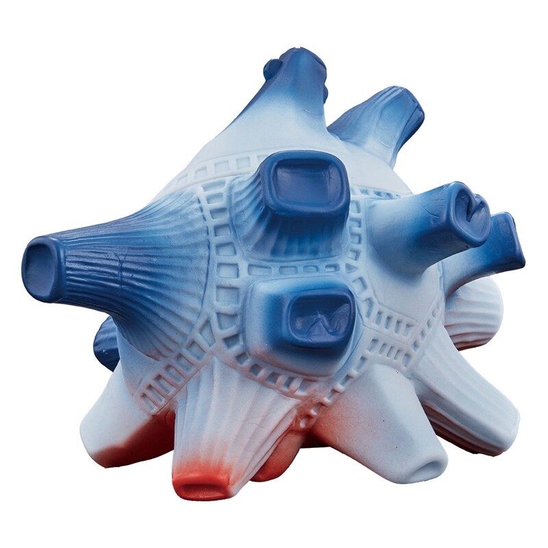 全场特价包邮 泽塔奥特曼 怪兽软胶 四次元怪兽 布鲁顿 可动