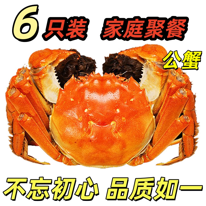 精品大闸蟹6-8只自选全公蟹螃蟹