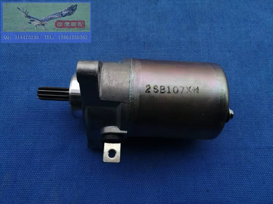 雅马哈天剑天戟天俊天隼125启动电机YBR125Z天隼马达过桥齿起动齿