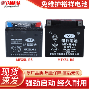 雅马哈巧格i裕祥电瓶赛鹰GT新福禧AS新巡鹰125巧格100天剑飞致150