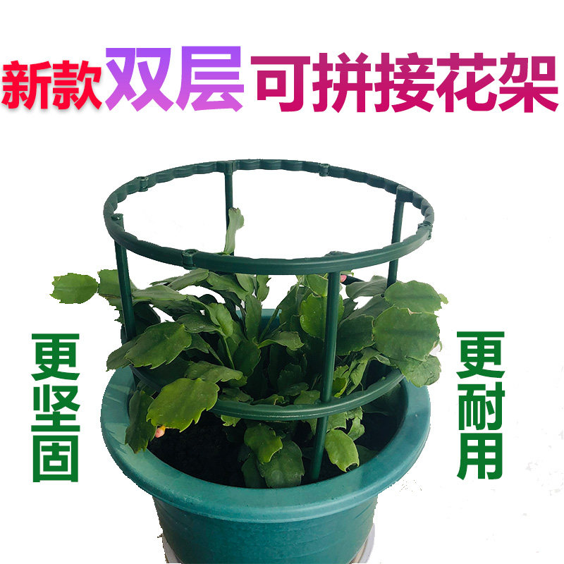 蟹爪兰专用支架蟹爪兰花架支撑杆图片