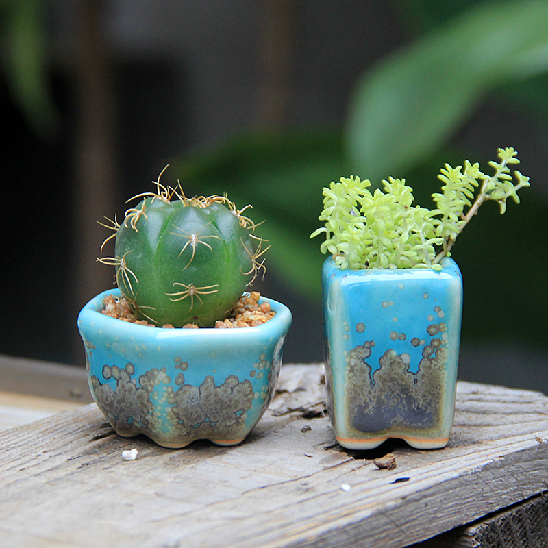 微型控根盆 美人醉系列开片拇指盆迷你豆盆复古 小多肉微盆景花盆