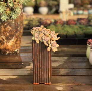 方形高豁缺口多肉绿植花盆粗陶桌面加高创意悬崖老桩造景仿木纹