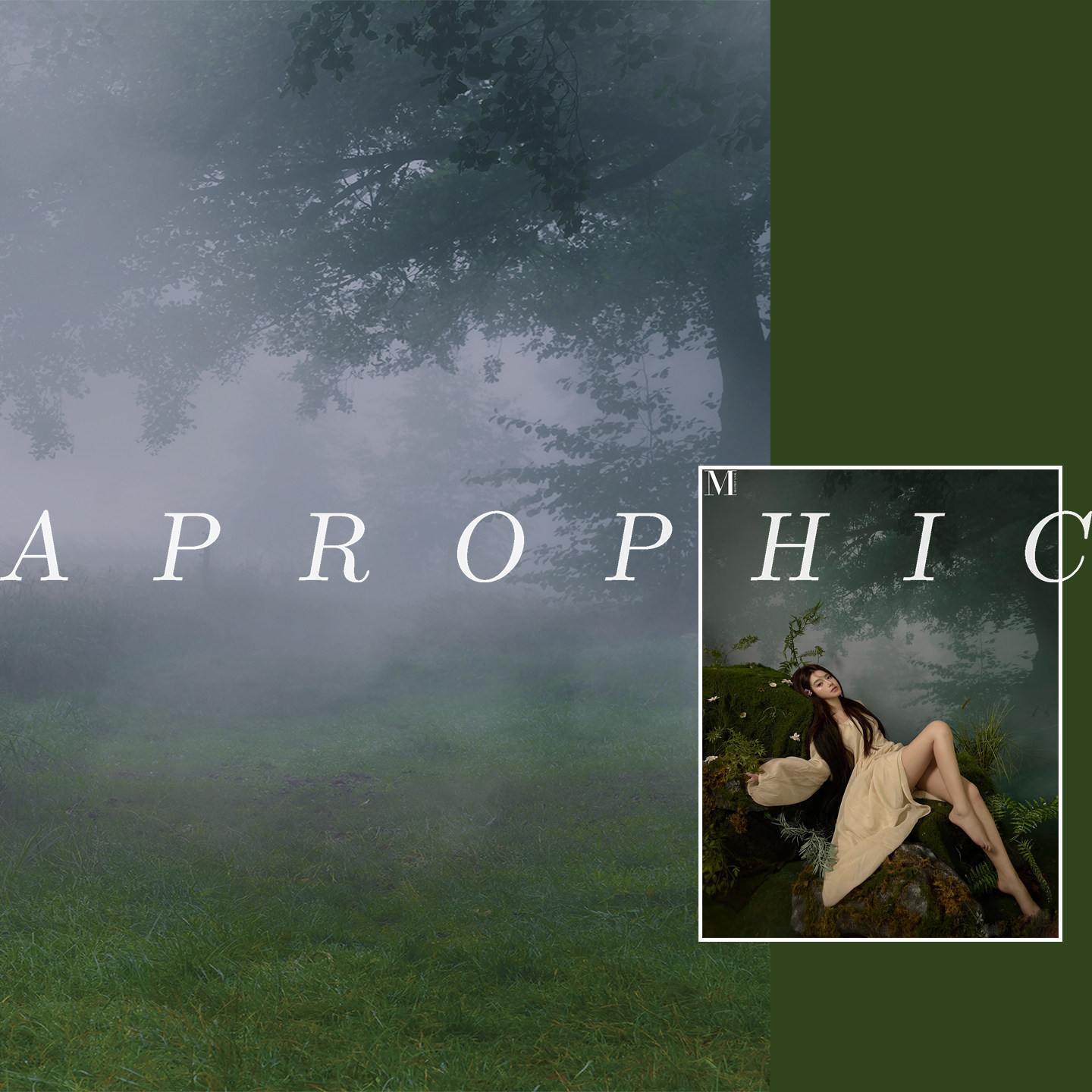 影楼拍照森林背景布清晨薄雾清冷少女写真拍照背景纸室内森林写真