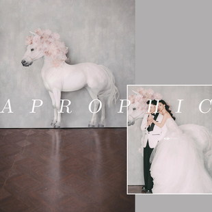 新款复古油画背景婚纱室内油画拍照背景布马年婚纱油画拍照背景纸