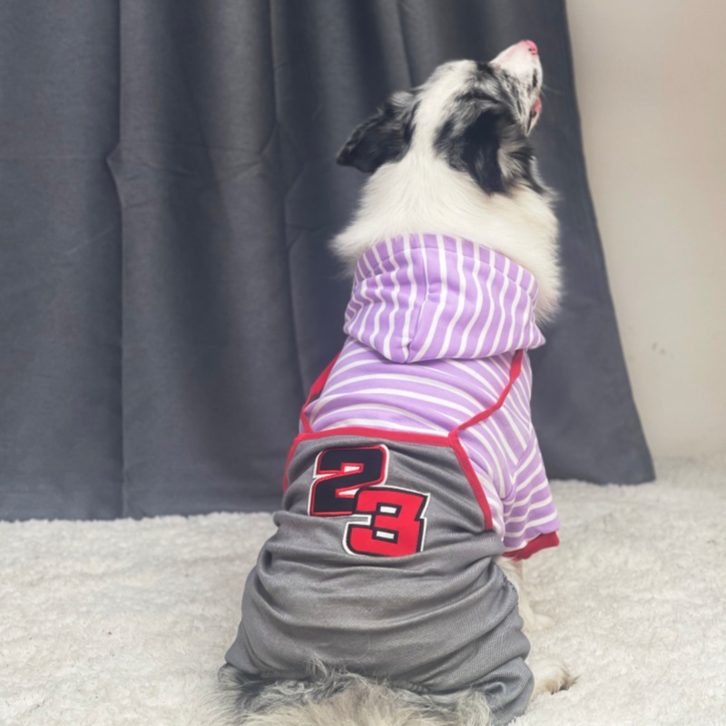 条纹中大型犬边牧金毛狗四脚衣服