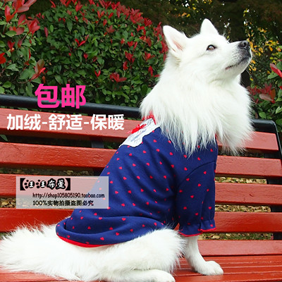 萨摩耶金毛边牧银狐中型狗狗衣服