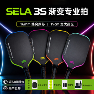 SELA PEGASSA 3S 粗摩擦T700碳纤维专业匹克球拍板pickleball套装