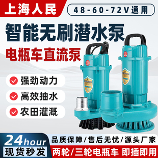 上海人民直流潜水泵家农用48V60V72V浇地灌溉电瓶车抽水泵大流量