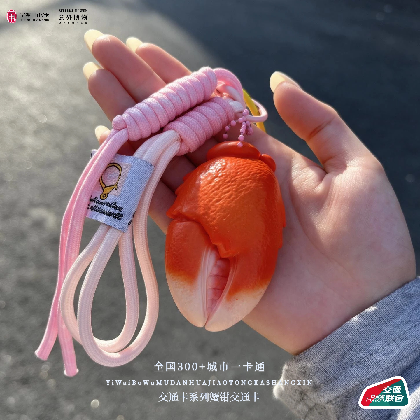 宁波创意交通卡有钳花蟹钳交通卡全国交通联合交通卡地铁公交通用
