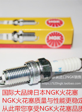 阿普利亚RST1000 ETV1000 SL1000 RSV1000摩托适用进口NGK火花塞