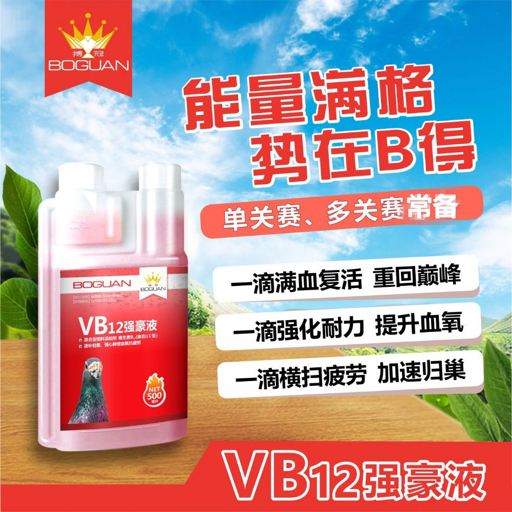 维生素B12鸽药比赛能量补体抗疲