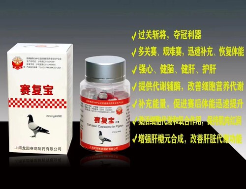 上海龙园赛补充体能多关赛