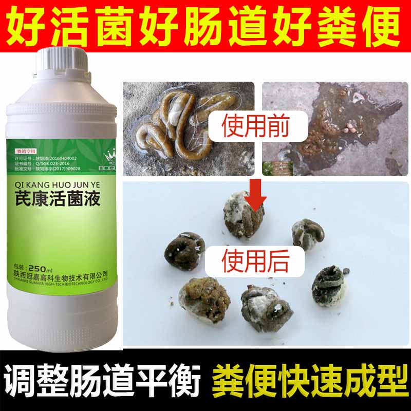 搏冠鸽药芪康活菌王液 250ml信赛鸽子药肠道调理水绿便营养保健