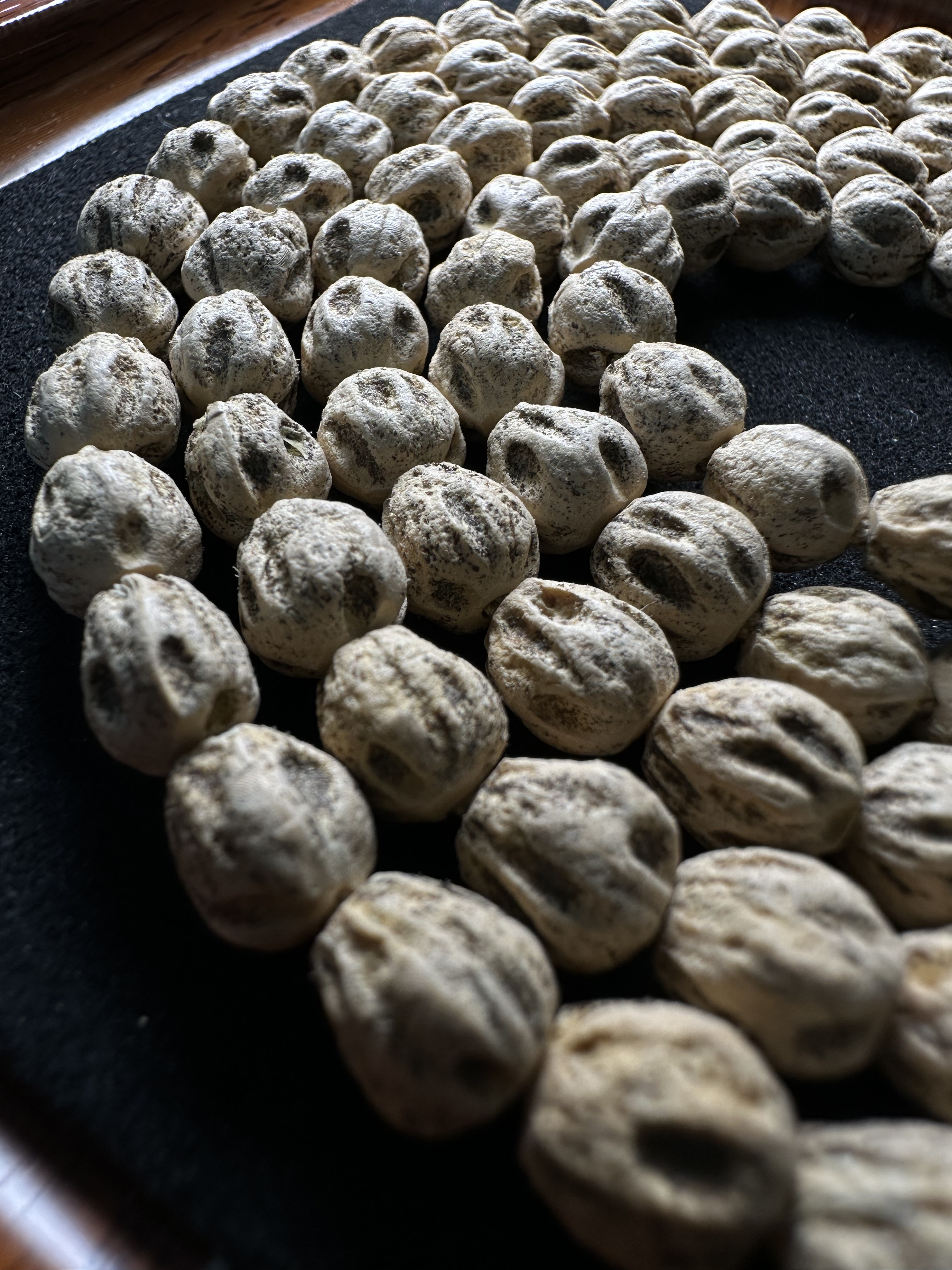 H热振百香籽微切白芽麻皮满鬼带小眼睛尸坨林108文玩挂脖柏香孤品