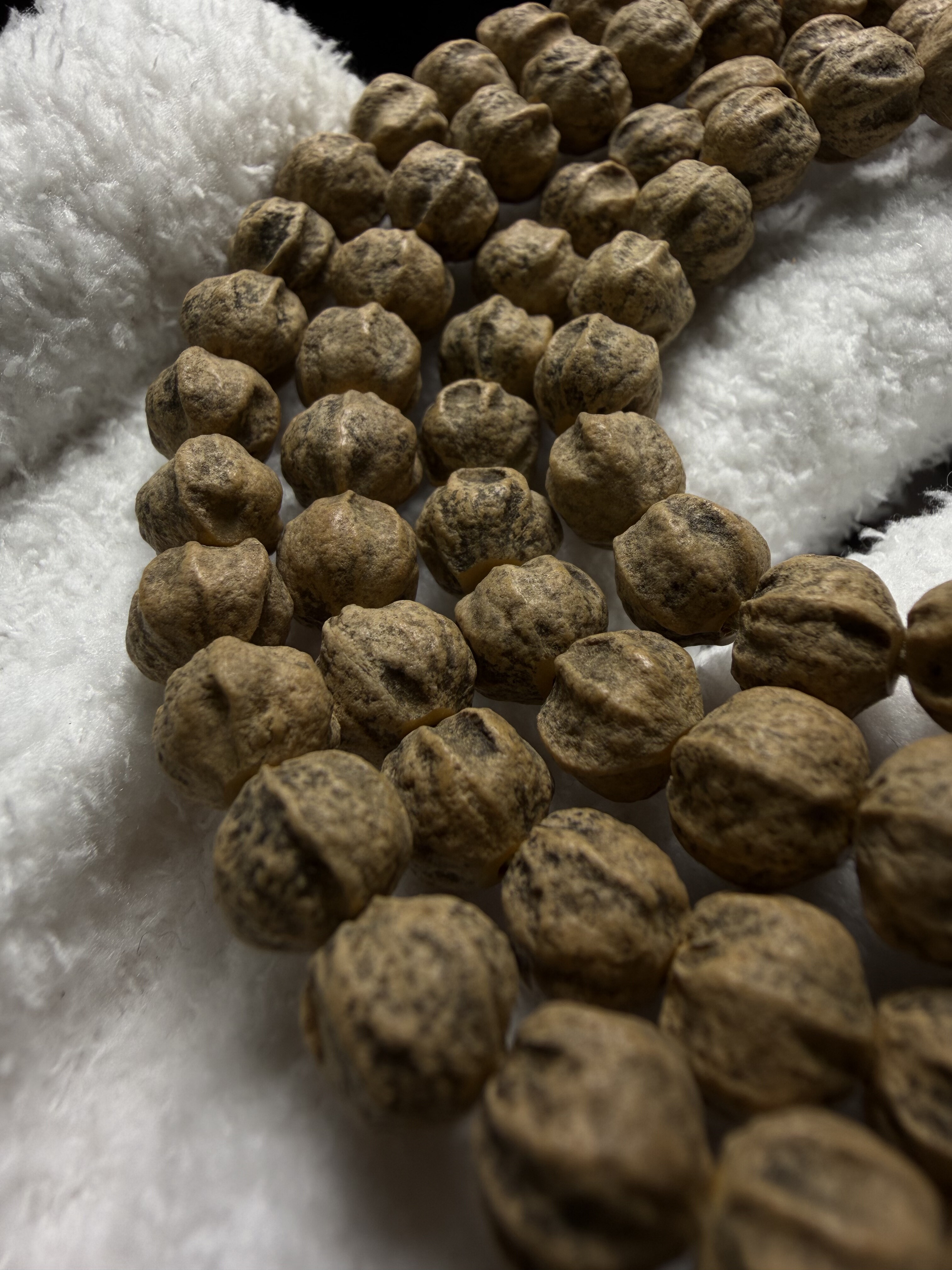 热振百香籽纹切多棱莲花鬼脸龙脊粗棱白芽老树籽铁籽百香文玩长串