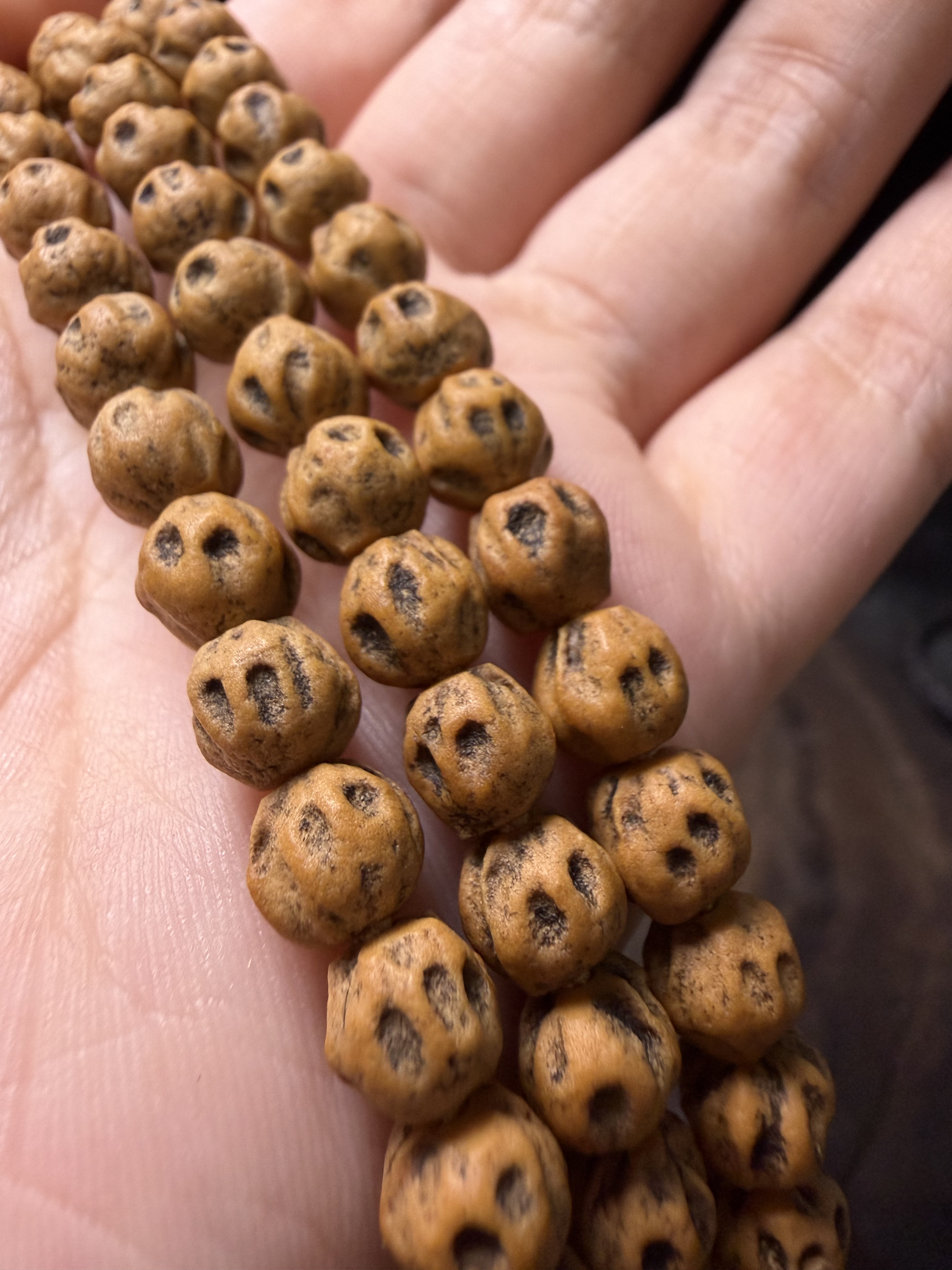 H热振柏香籽微切深坑鬼脸外星人尸陀林高油顺纹白芽红油皮108长串