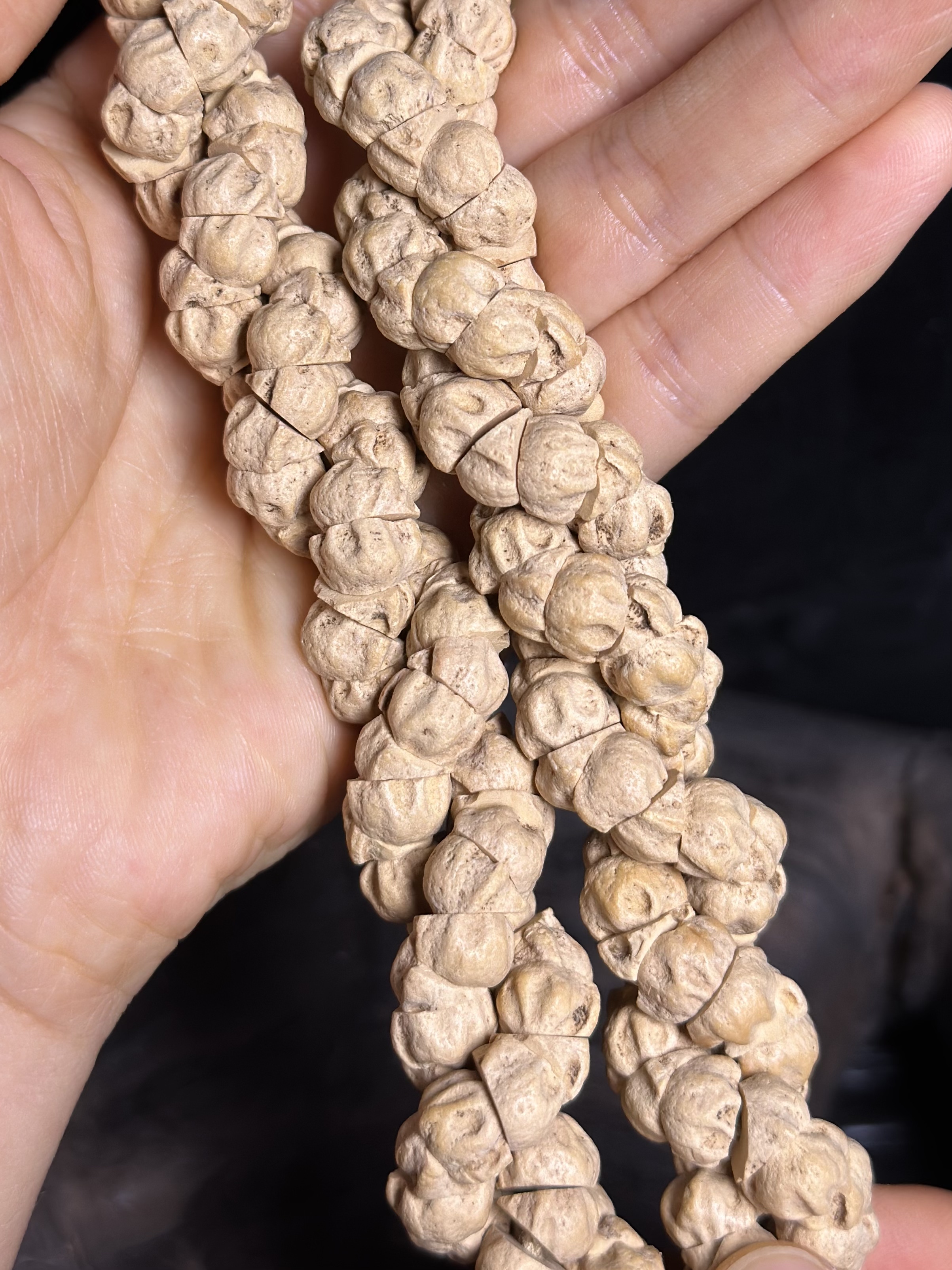 柏香籽猪大肠白芽油皮高油树籽密度大尺寸手感巨好干净鬼脸大肠N