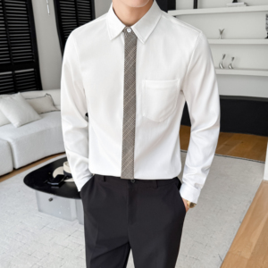 LT201*格子领带男潮流韩版帅气长袖衬衣工作服秋冬男职业装P55图片