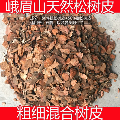 发酵松树皮松鳞石斛石斛兰花暴晒