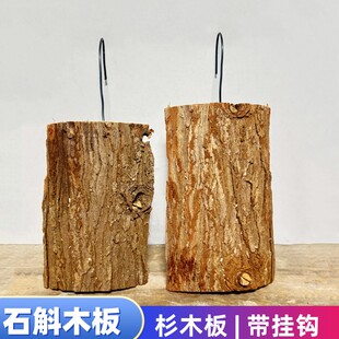 石斛种植板杉木板杉树板木桩蛇木吊栽树皮板苔藓吊兰板 满8元包邮
