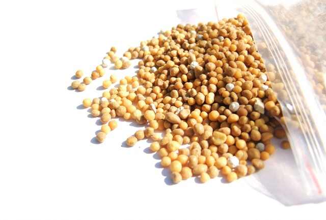 奥绿a2缓释肥 石斛兰花肥料 花卉缓释肥料 安全无毒 美国进口肥|msdalam kategori penghantaran bunga/bunga simulasi/tumbuhan berkebun, Gardening Supplies, baja rumah berkebun/tanah pemakanan/penyelesaian nutrien - dari Buy2taobao.com untuk memberikan perkhidmatan ejen Taobao profesional membeli